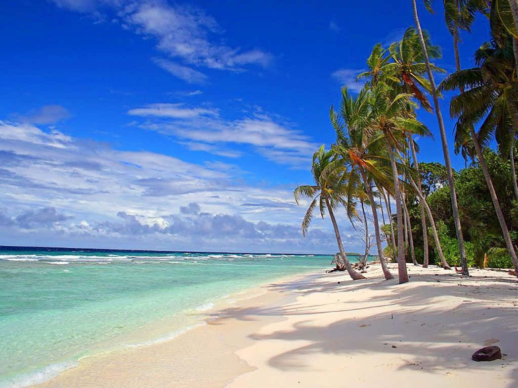 Stunning Hawaiian Beach With Turquoise Waters Wallpaper