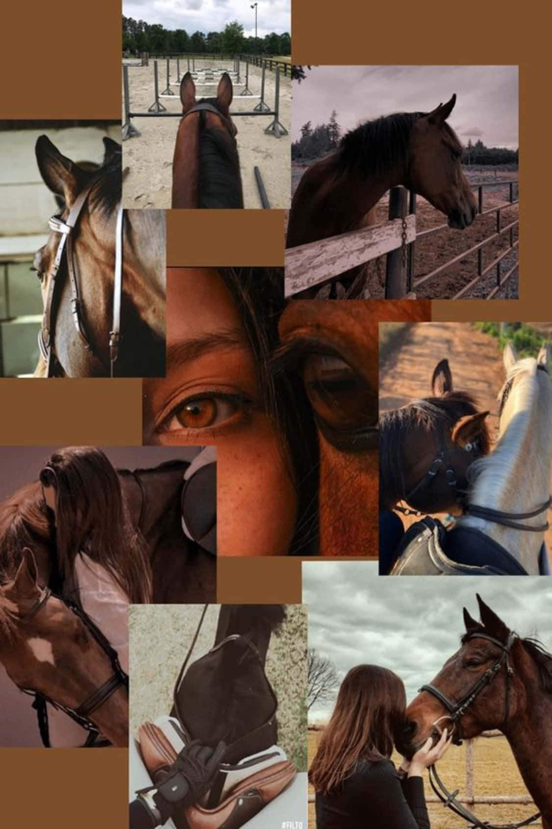 Stunning Horse Collage Wallpaper