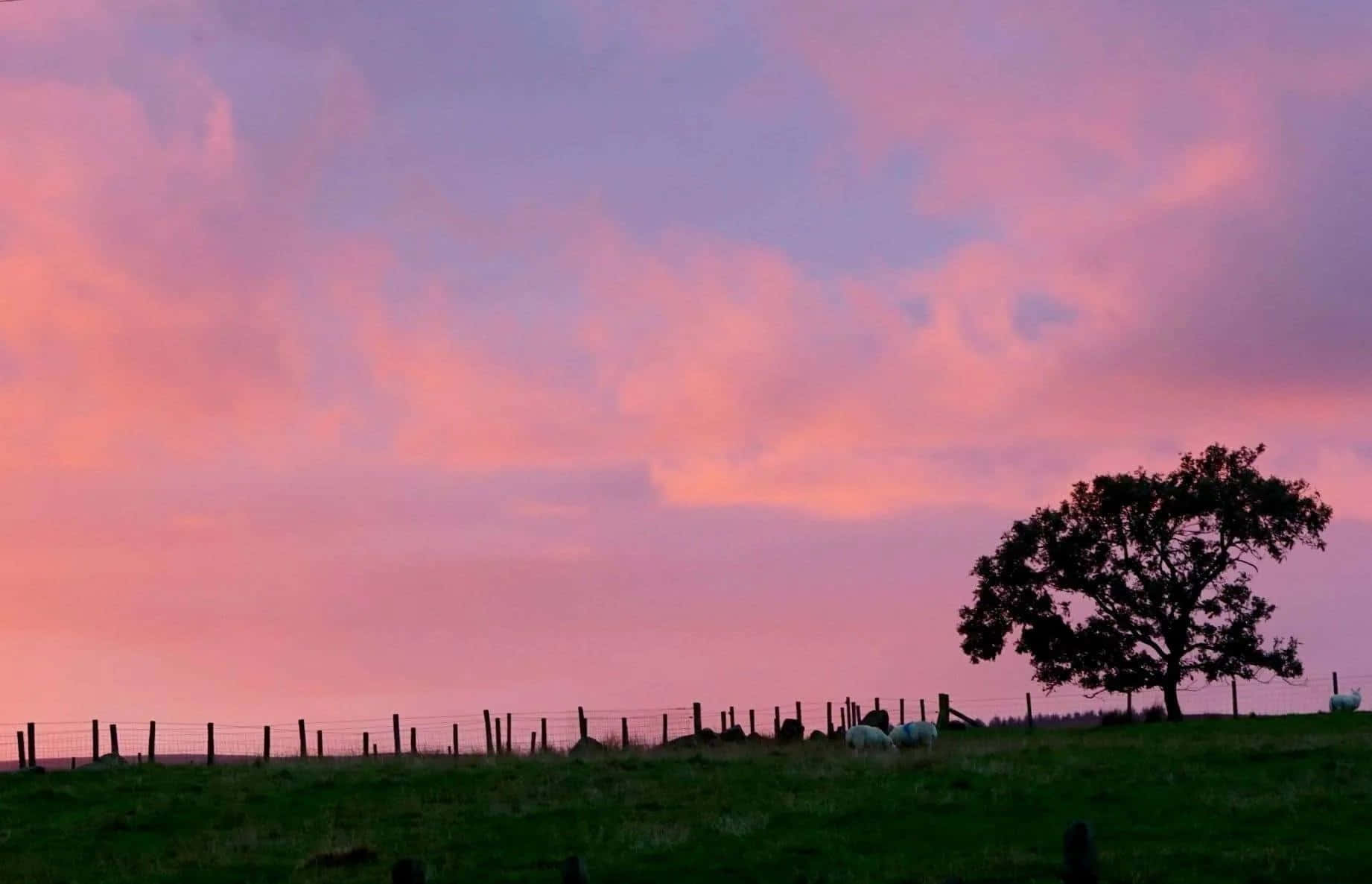 Stunning Pink Sky At Sunset Wallpaper