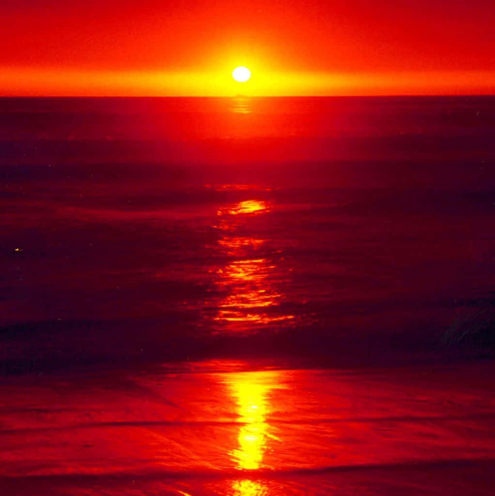 Stunning Red Sunset Over The Horizon Wallpaper