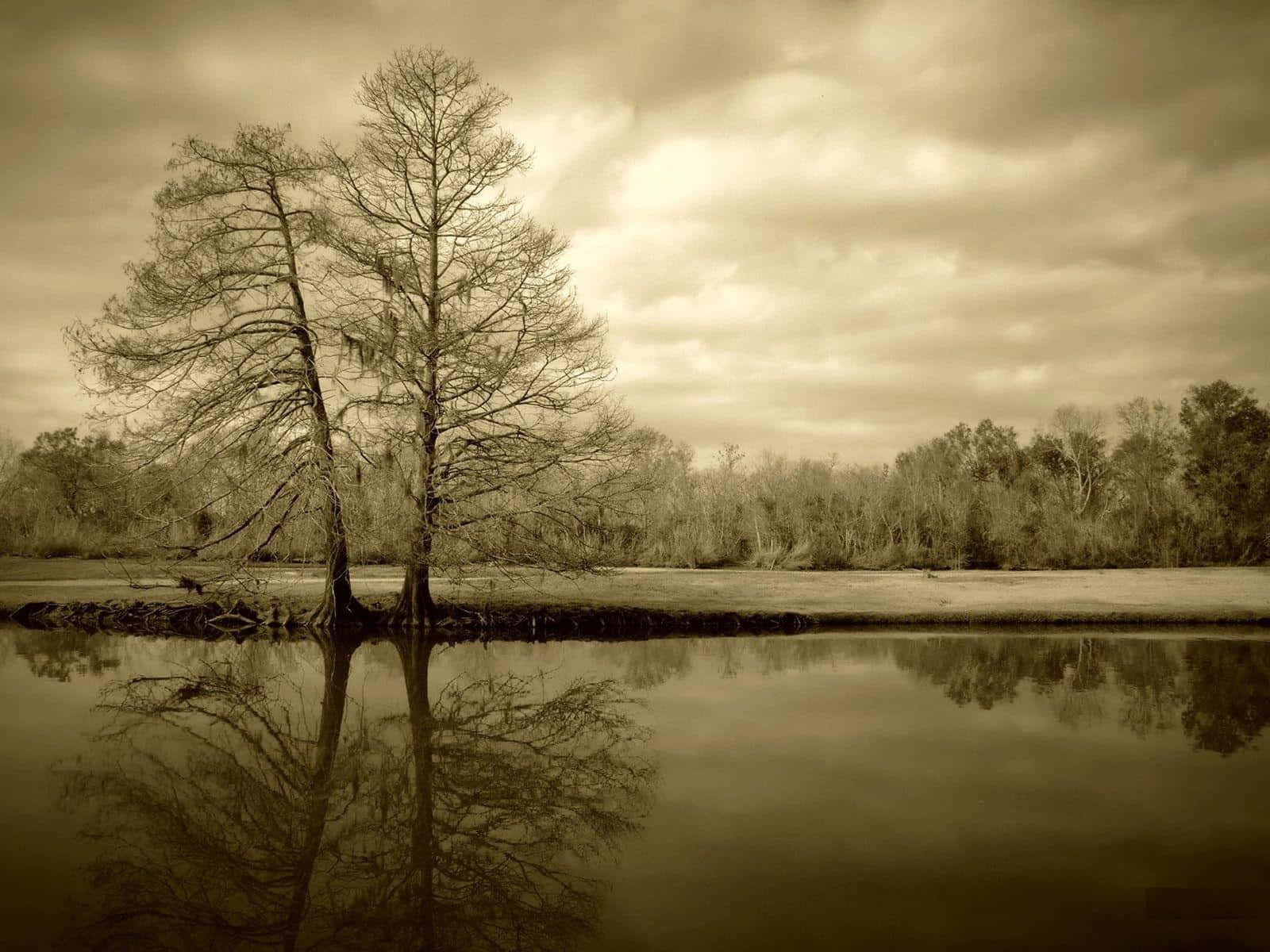 Stunning Sepia-toned Landscape Wallpaper