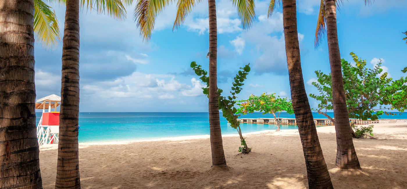 Stunning Tropical Paradise In Jamaica Wallpaper