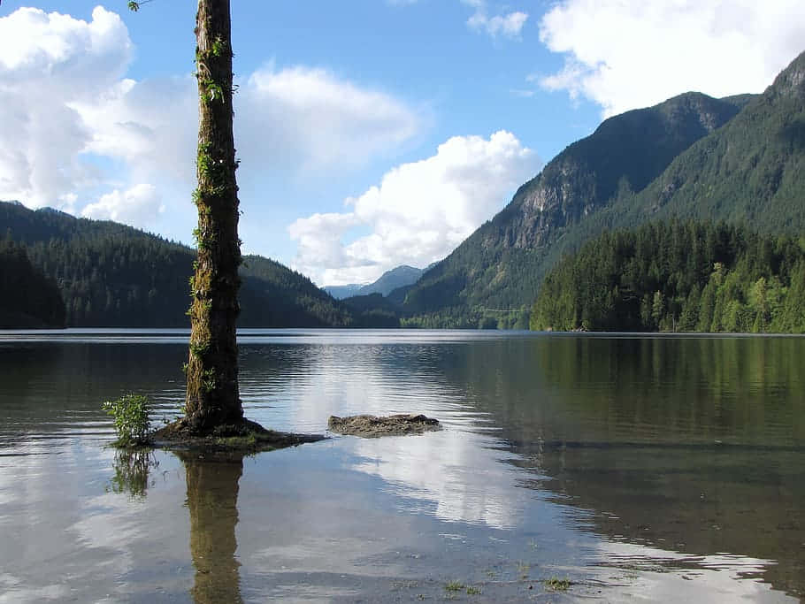 Stunning Twilight Scene In Coquitlam Wallpaper