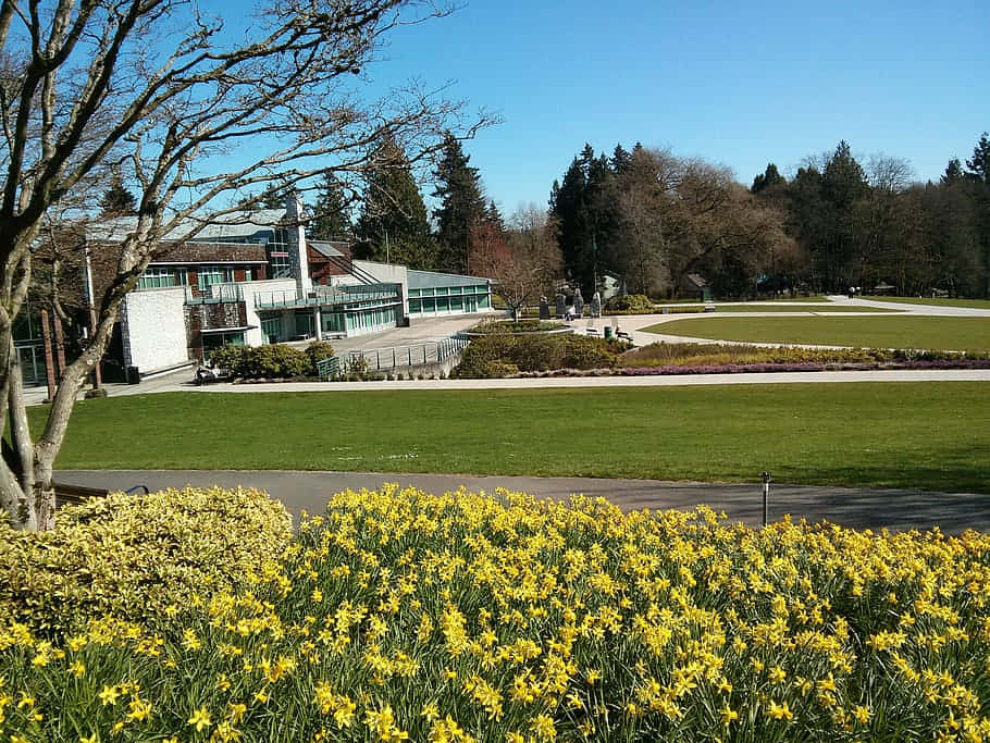 Stunning View Of Burnaby's Natural Landscape Wallpaper