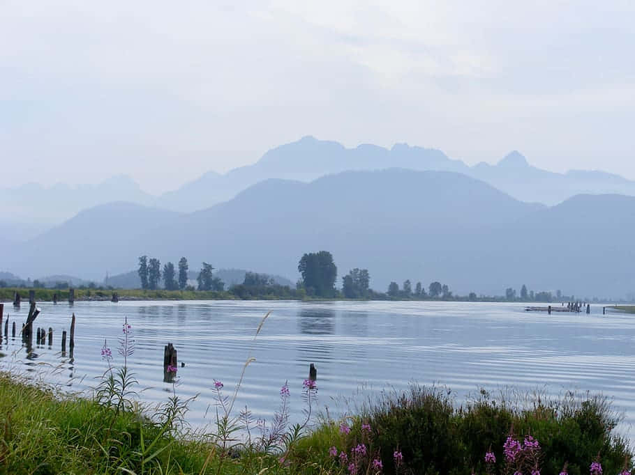 Stunning View Of Coquitlam At Dusk. Wallpaper