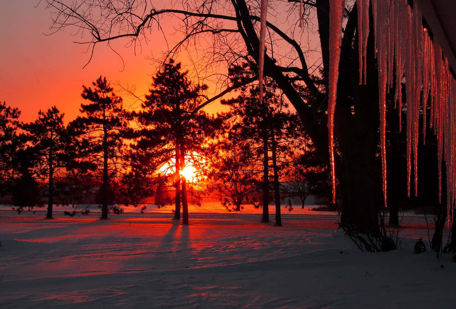 Stunning Winter Sunset Over The Snowy Landscape Wallpaper