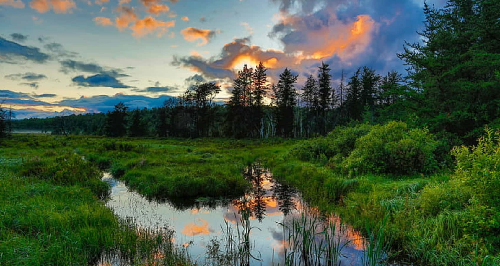 Sudbury Wetland Sunset Wallpaper