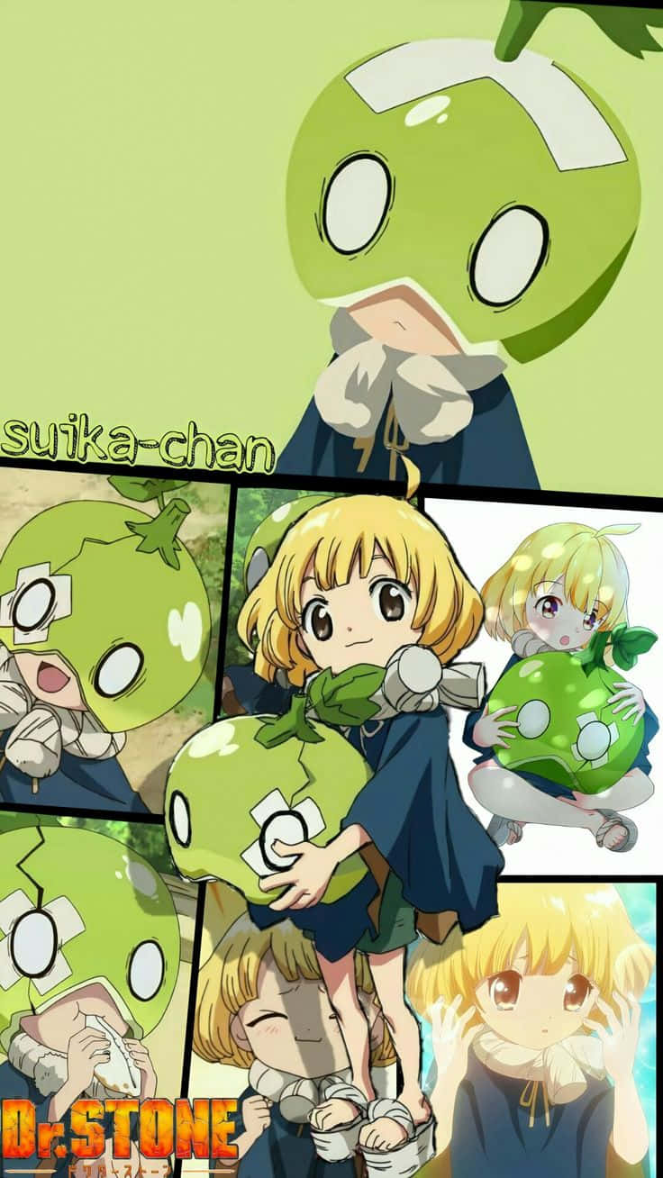 Suika Chan Collage Dr Stone Wallpaper