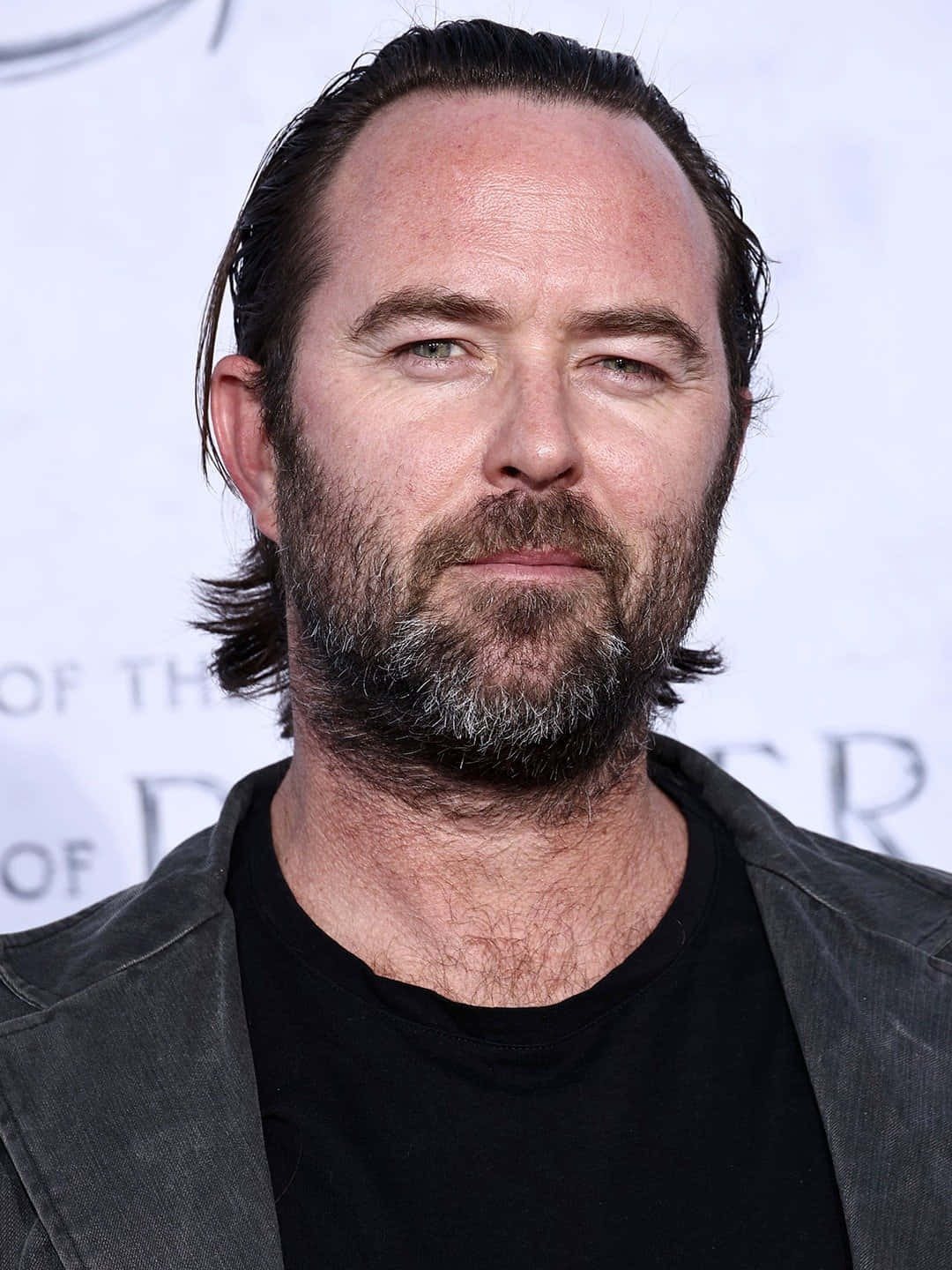 Sullivan Stapleton Red Carpet Look Wallpaper