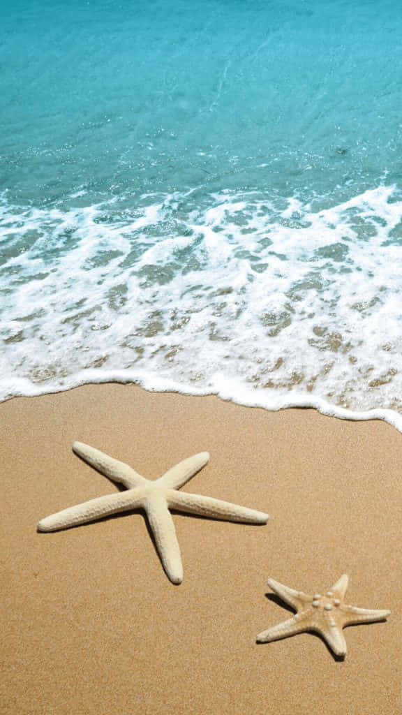 Summer_ Starfish_ Beach_ Scene Wallpaper