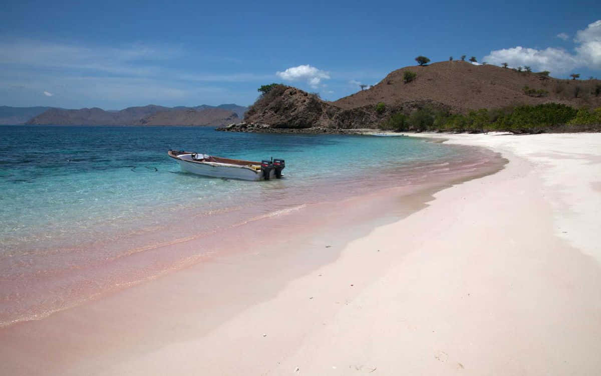 Sun-soaked Pink Sand Beach Escape Wallpaper