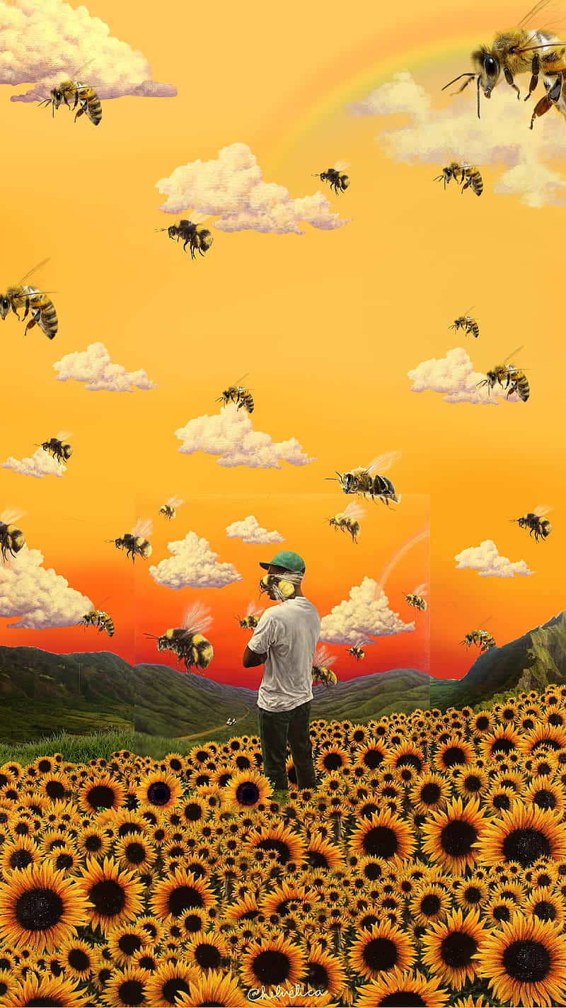 Sunflower Field Tyler The Creator Pfp Wallpaper