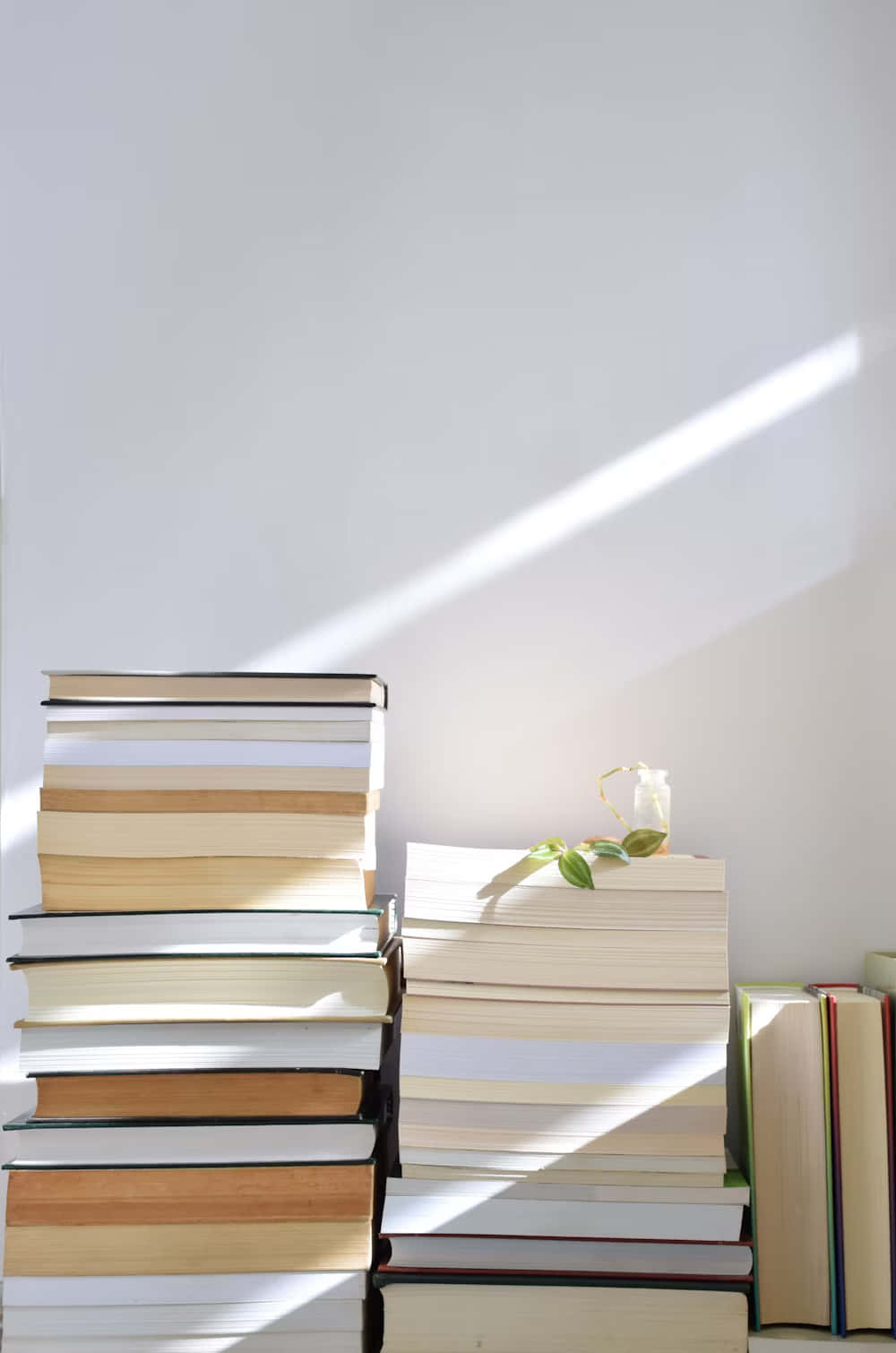 Sunlit_ Books_and_ Shadow_ Art Wallpaper