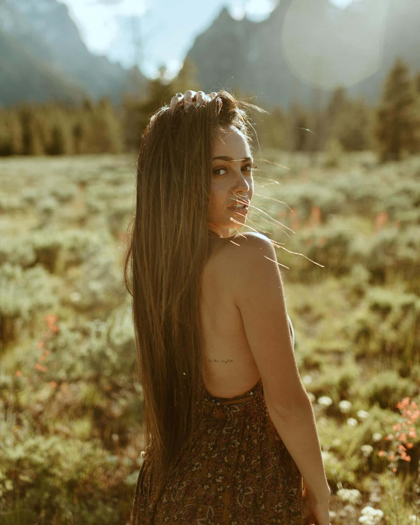 Sunlit Meadow Portrait Wallpaper