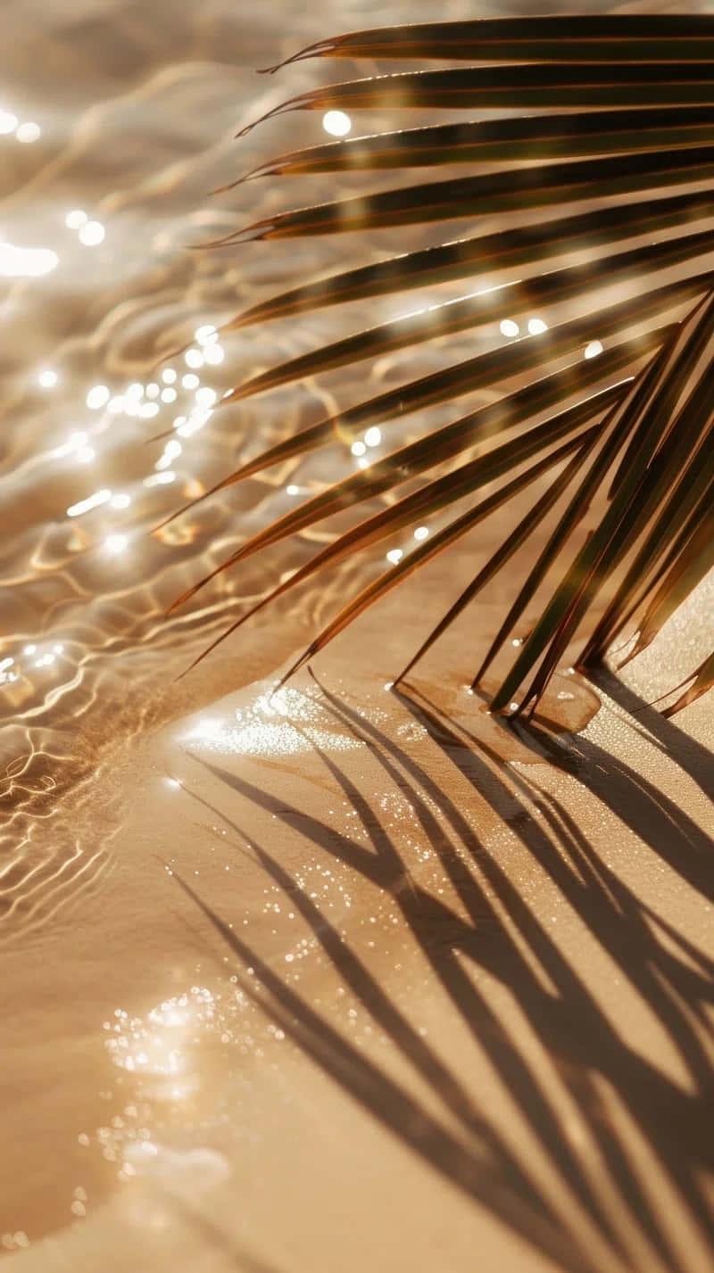 Sunlit Palmand Beach Sand Sparkle.jpg Wallpaper