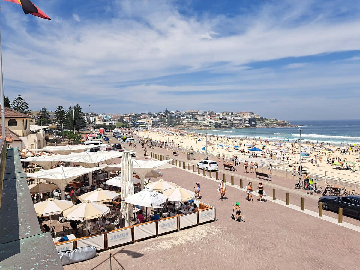 Sunny_ Bondi_ Beach_ Promenade Wallpaper