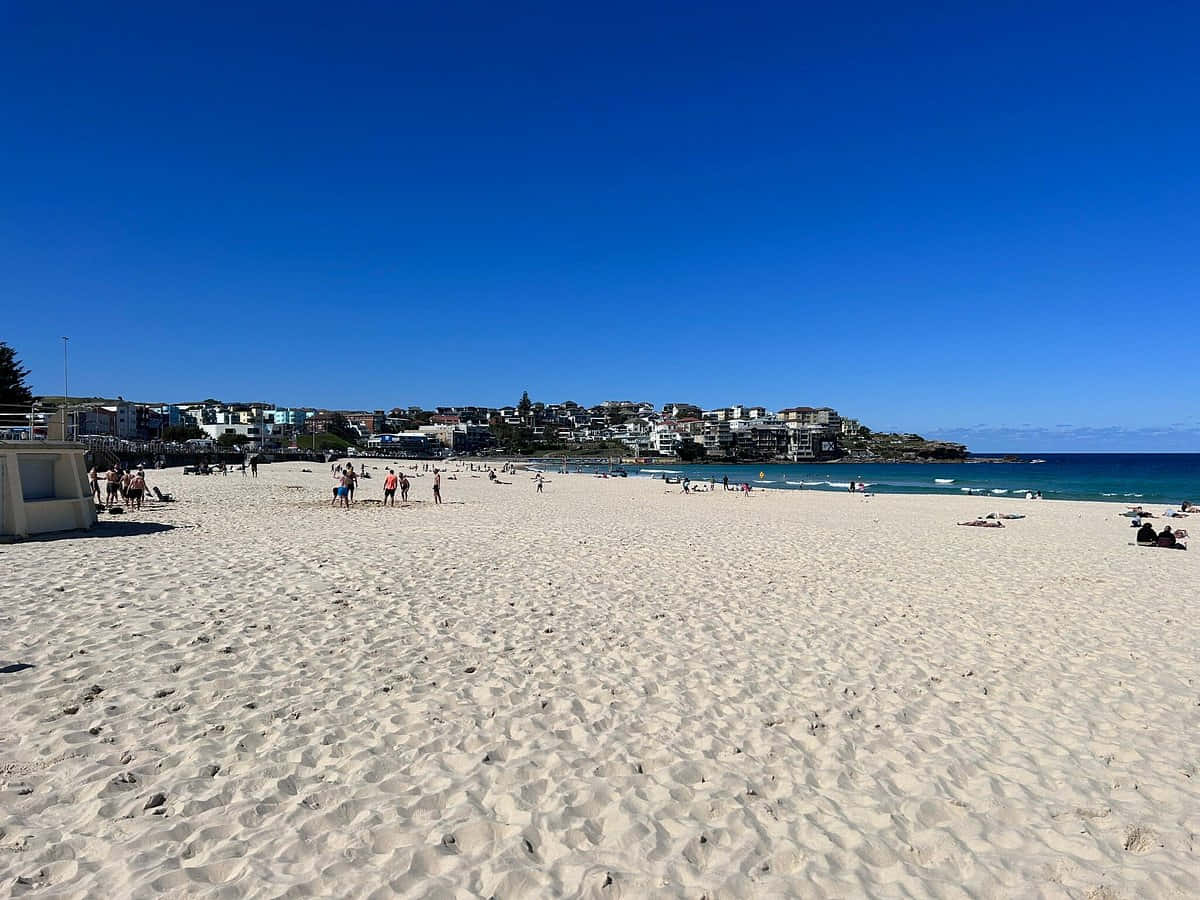 Sunny Dayat Bondi Beach Wallpaper