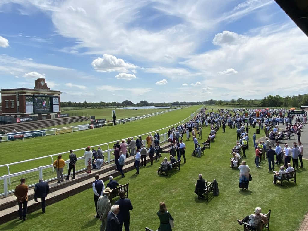 Sunny Dayat Ripon Racecourse Wallpaper