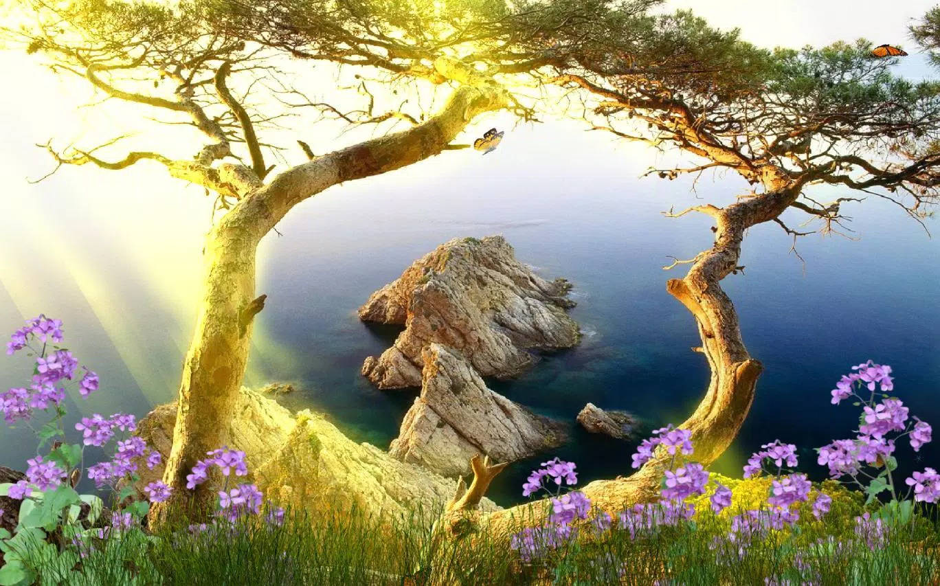 Sunny Nature Pretty Landscape Wallpaper