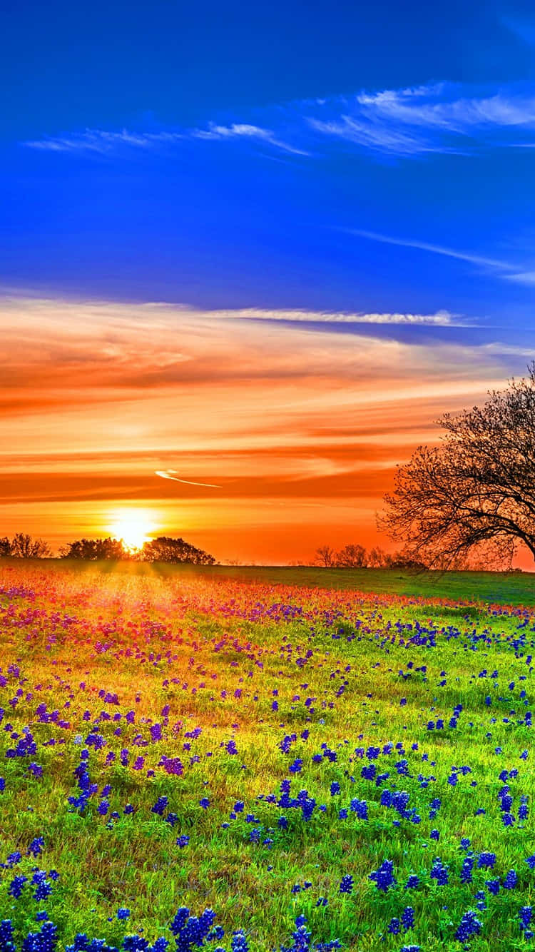 Sunrise On A Heavenly Beach Wallpaper