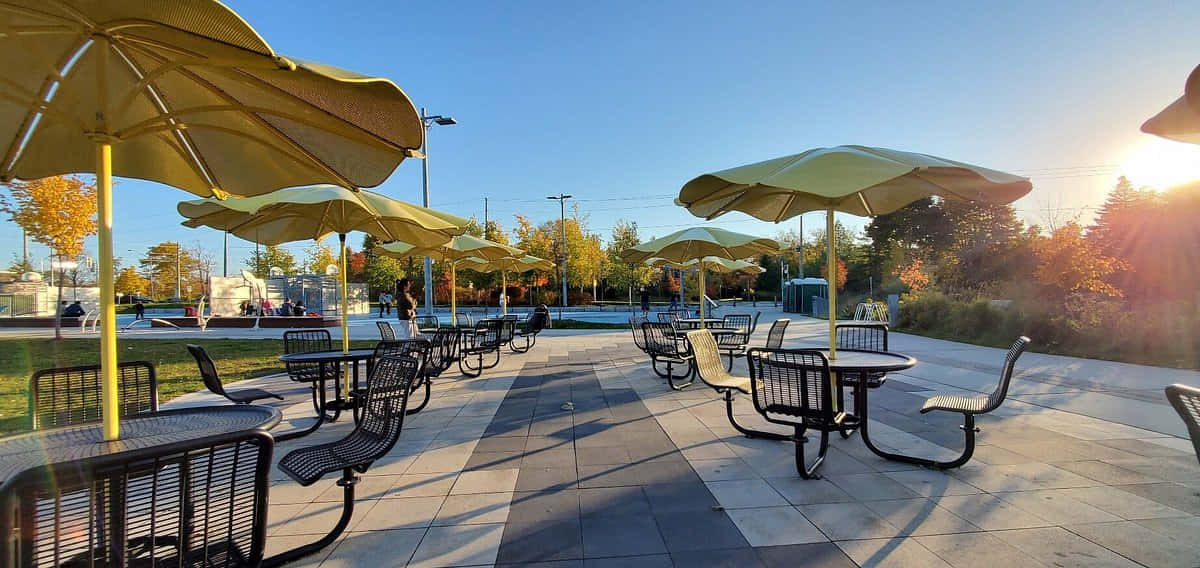 Sunset Park Seating Area Richmond Hill Wallpaper