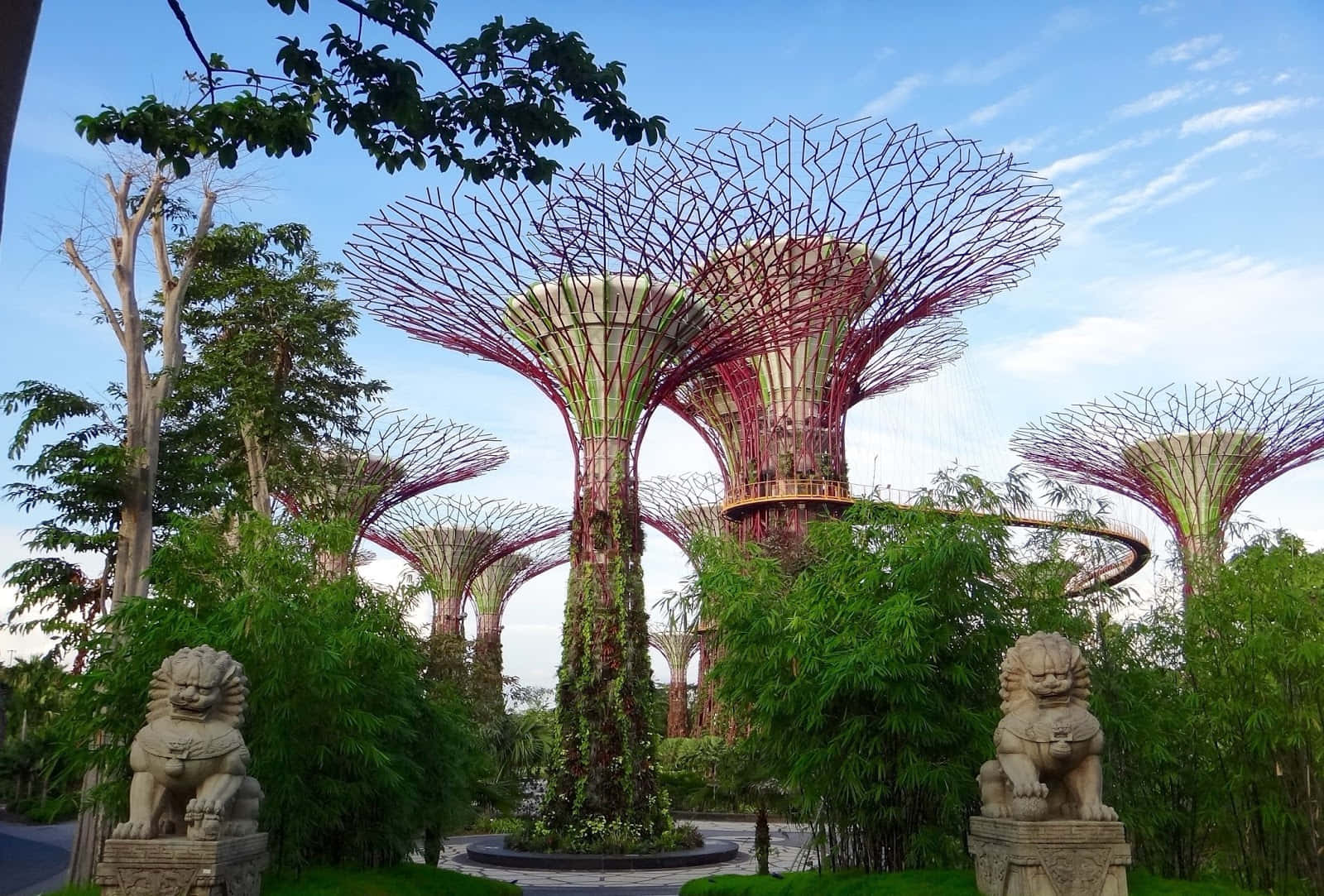 Supertree Grove Gardens By The Bay Wallpaper