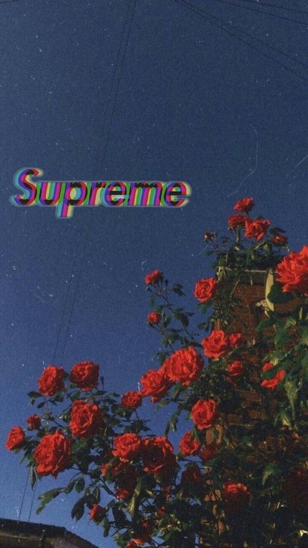 Supreme Logo Blue Aesthetic Tumblr Wallpaper