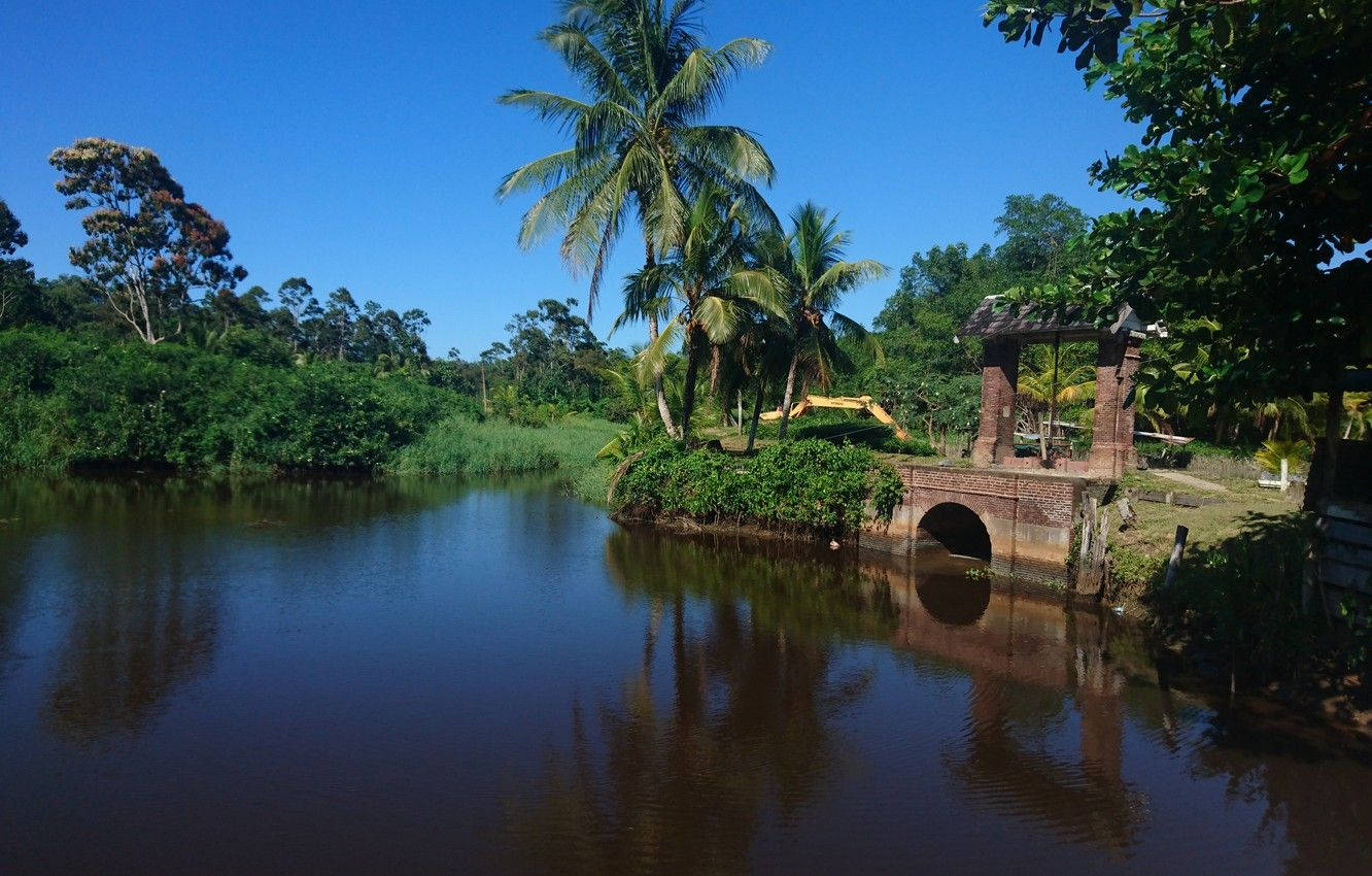 Suriname Dark River Wallpaper