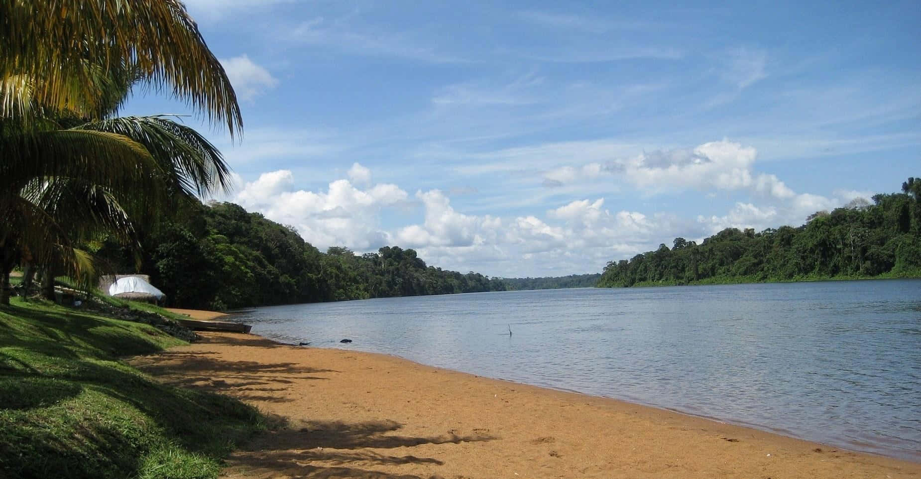 Suriname Riverbanks Wallpaper