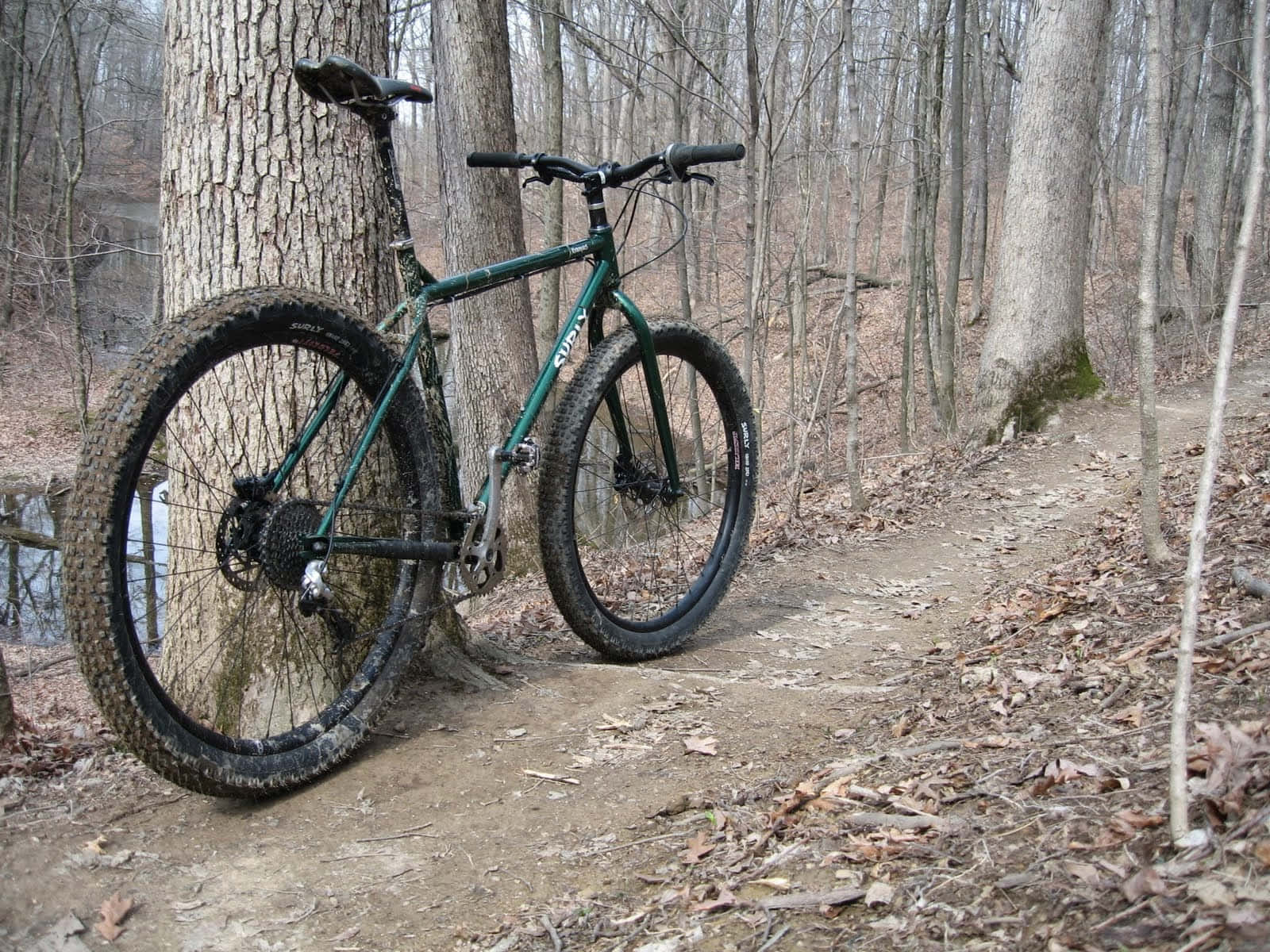 Surly Fat Bike Back View Wallpaper