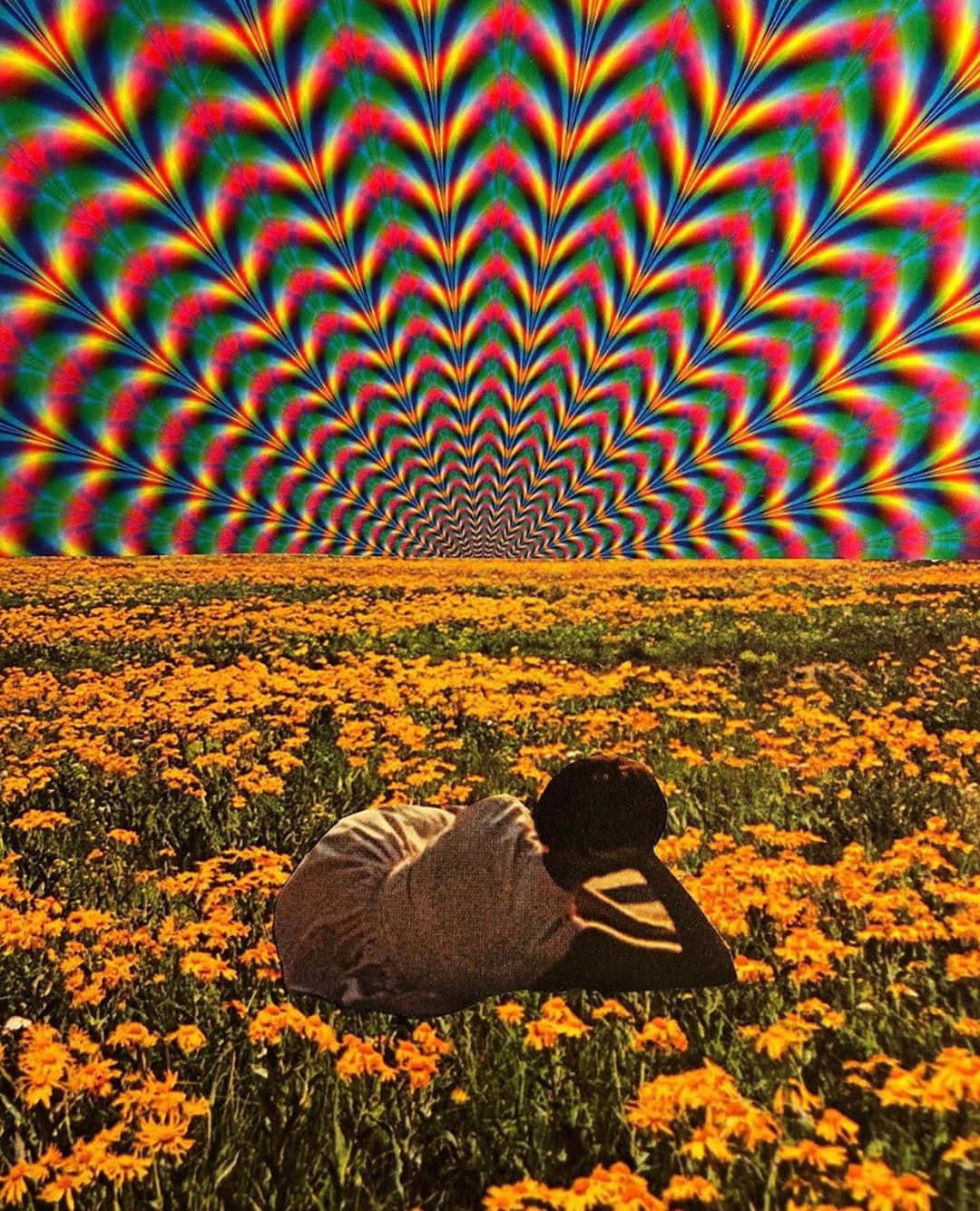 Surreal Trip Through A Colorful Psychedelic Landscape Wallpaper