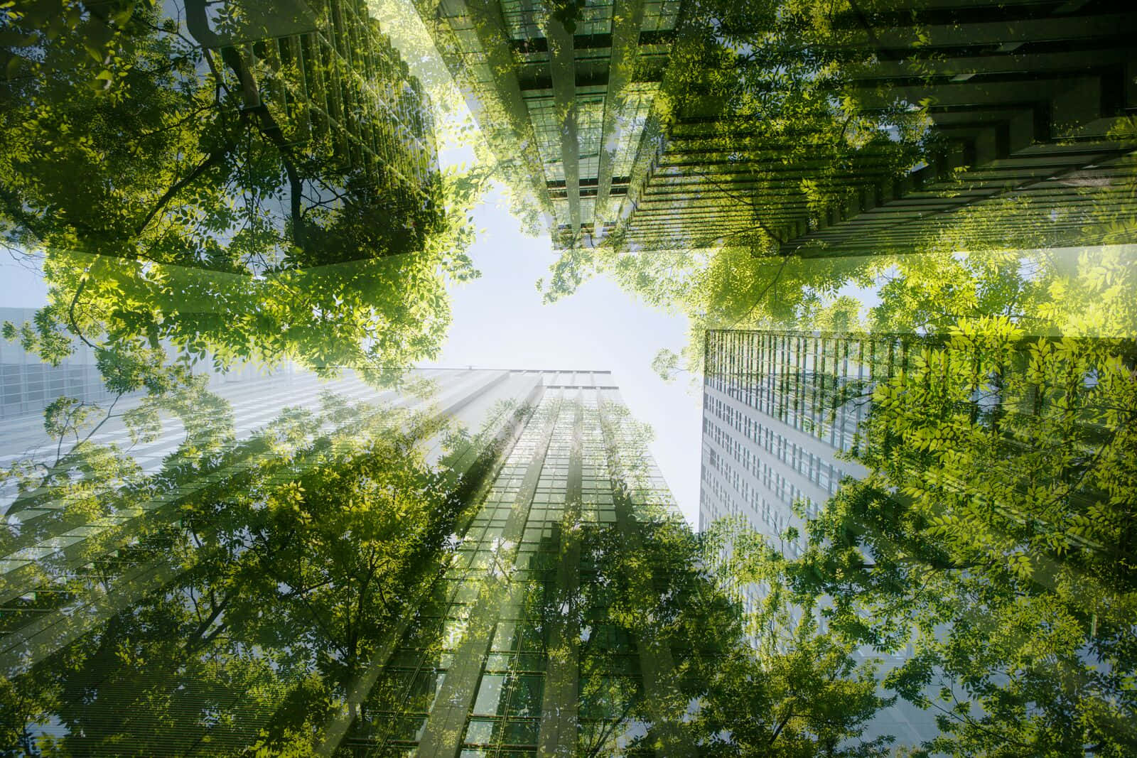 Sustainable Green Building In Urban Environment Wallpaper