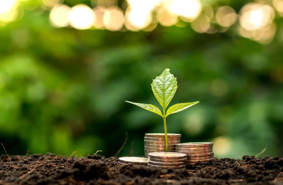 Sustainable Green Finance Concept Wallpaper