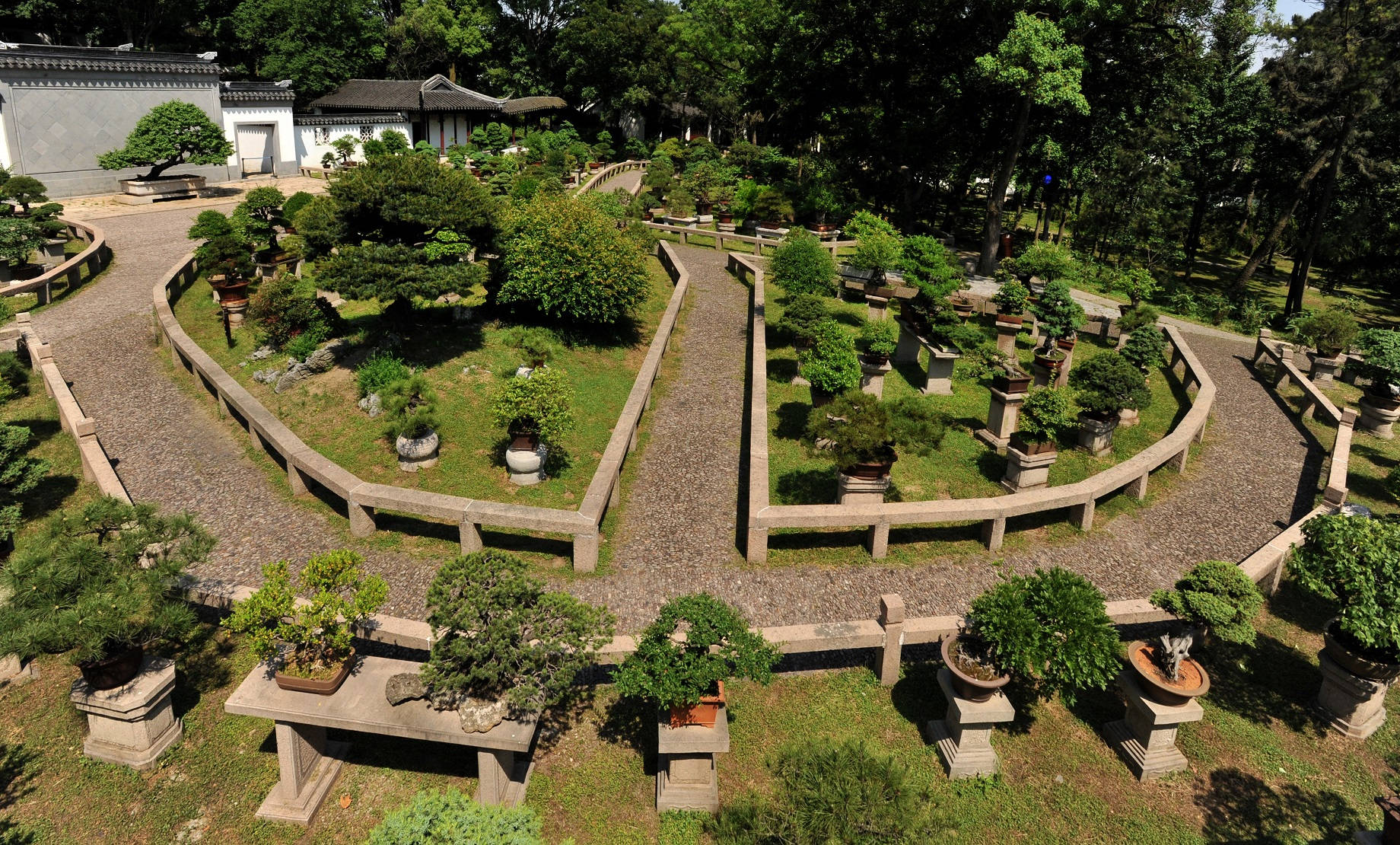 Suzhou Bonsai Villa Wallpaper