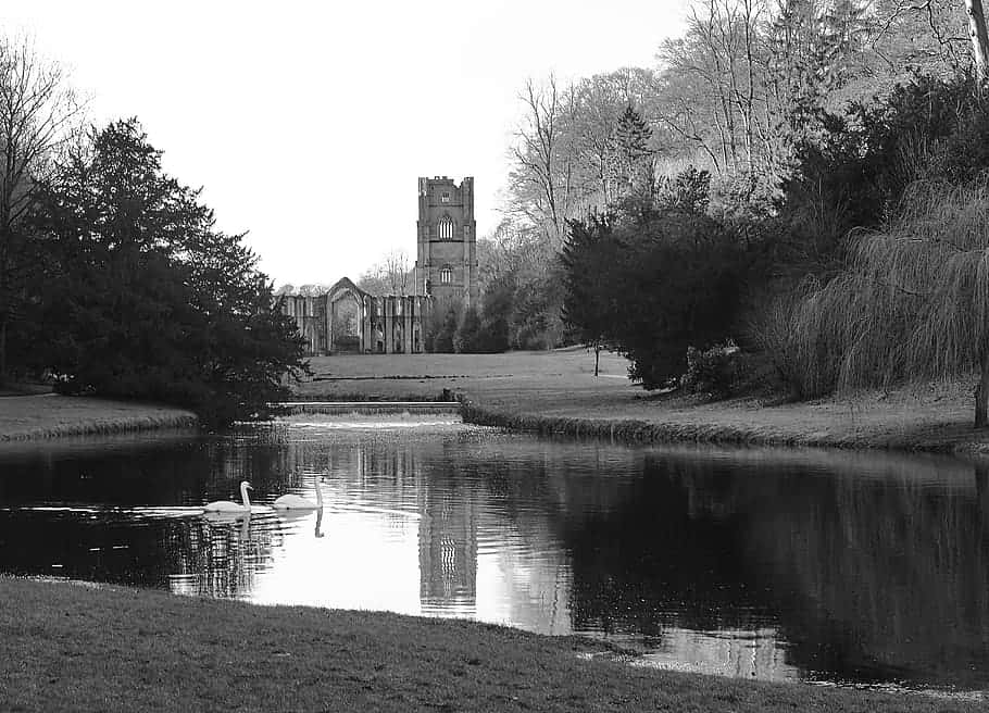 Swansat Fountains Abbey Ripon Wallpaper