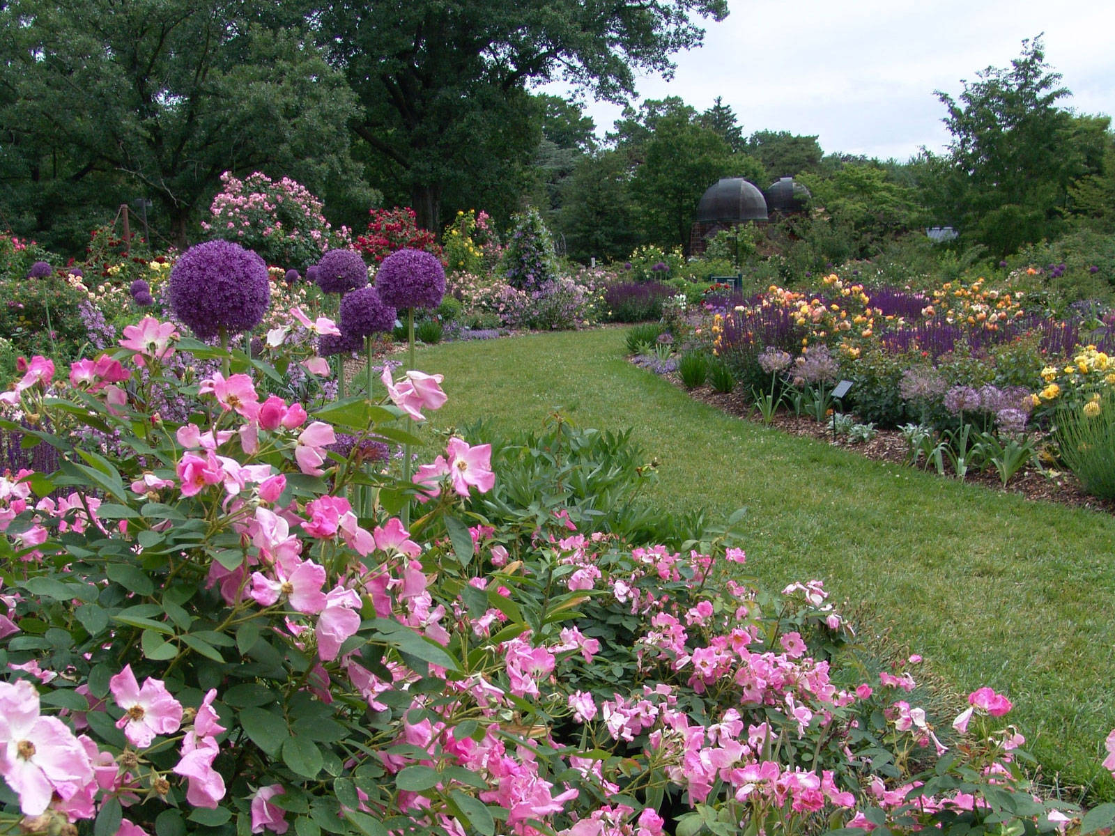 Swarthmore College Flower Garden Wallpaper