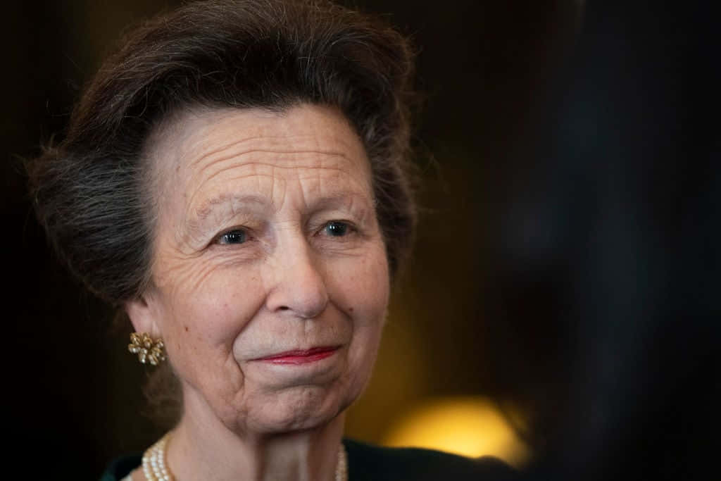 Sweet Smile Of Princess Anne Wallpaper