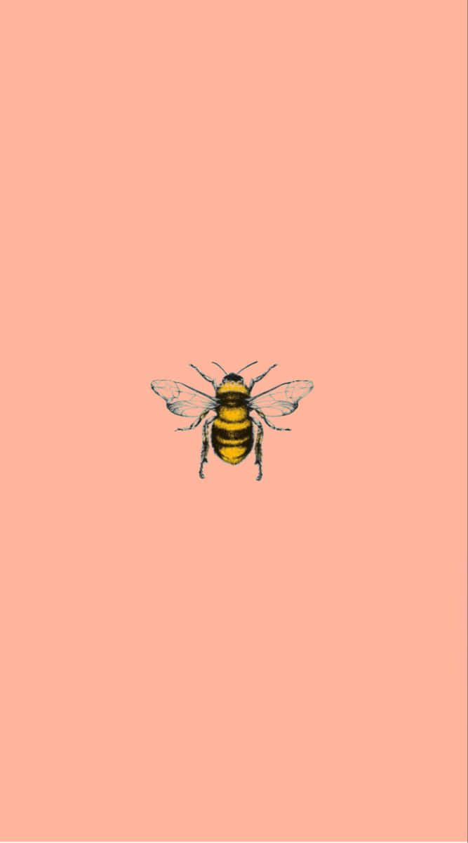 Sweet Summertime With A Vintage Bee Wallpaper