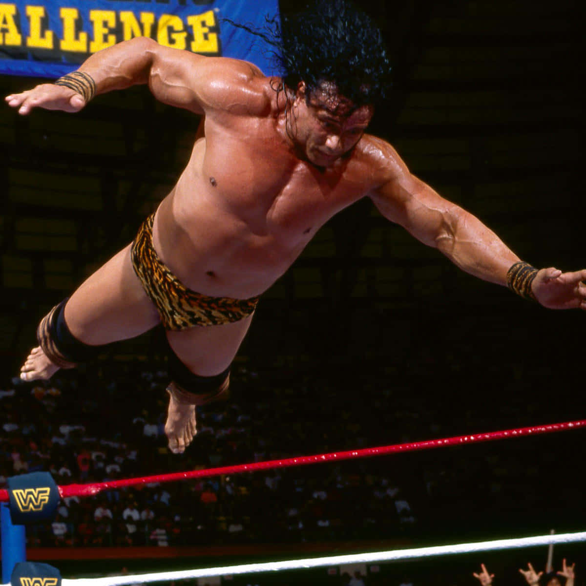 Swing It Jimmy Snuka Wallpaper