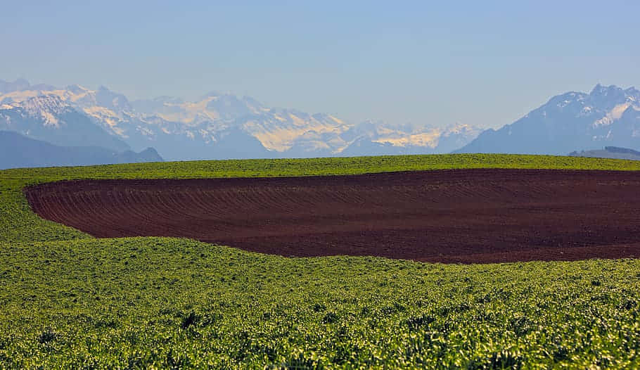 Swiss Alps Viewfrom Plowed Field Wallpaper