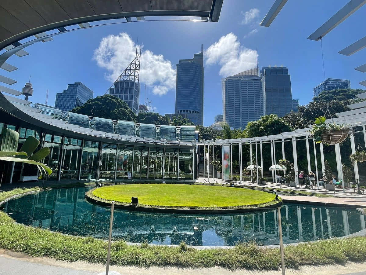 Sydney Cityscape Reflectionsat Royal Botanic Garden Wallpaper