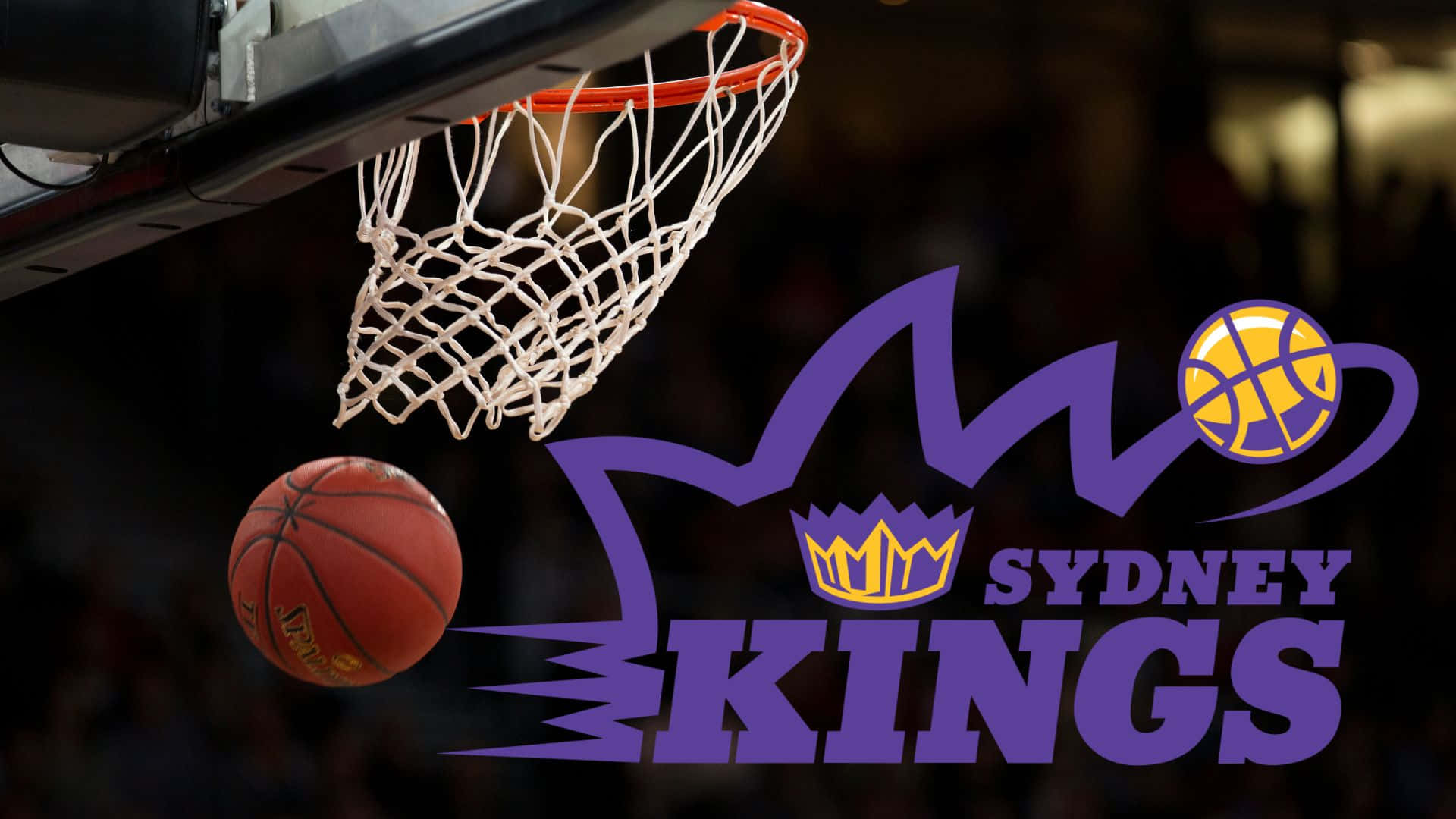 Sydney Kings Wallpaper