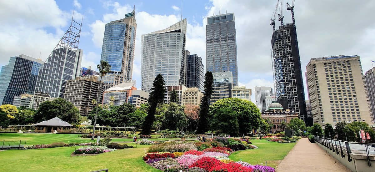 Sydney_ Skyline_from_ Royal_ Botanic_ Gardens Wallpaper