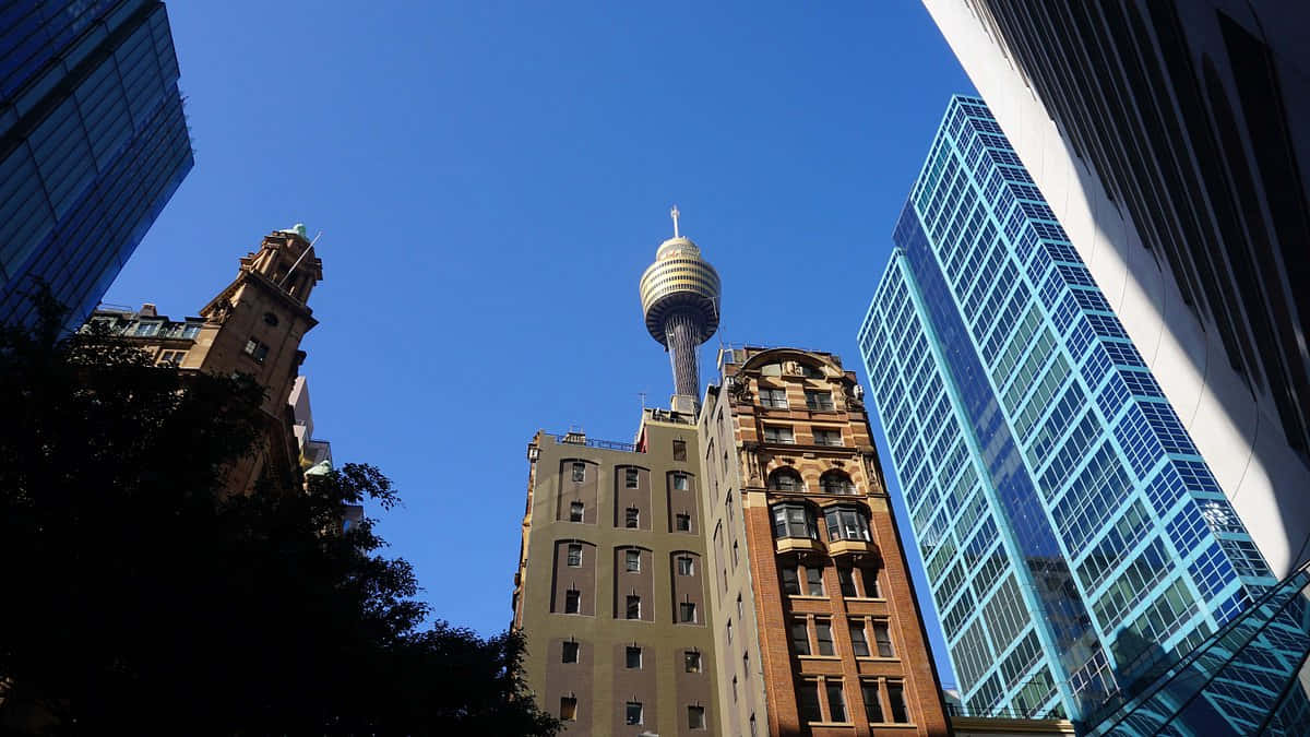 Sydney_ Tower_ Amidst_ Urban_ Architecture.jpg Wallpaper