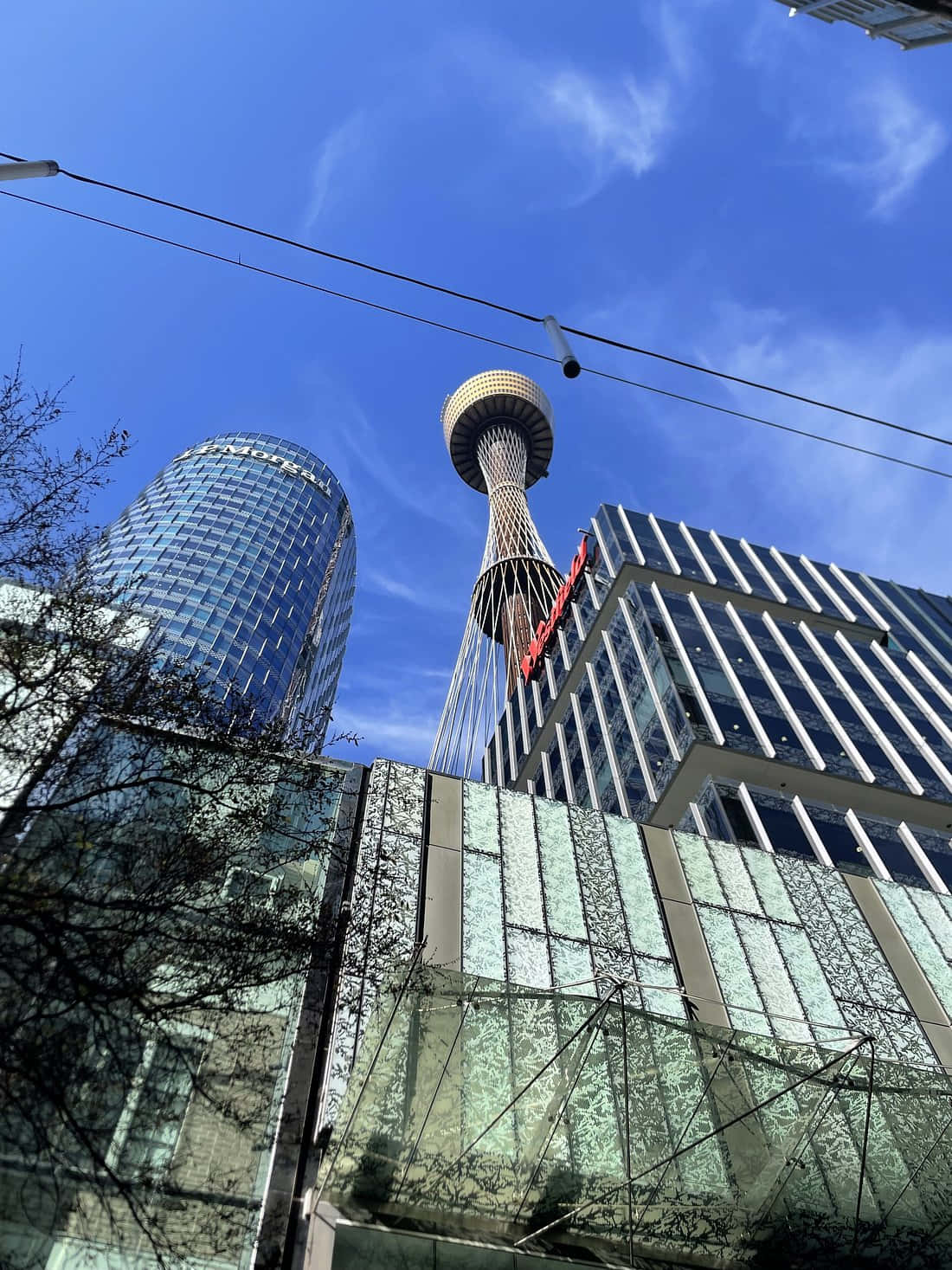 Sydney_ Tower_ Eye_ Against_ Blue_ Sky Wallpaper