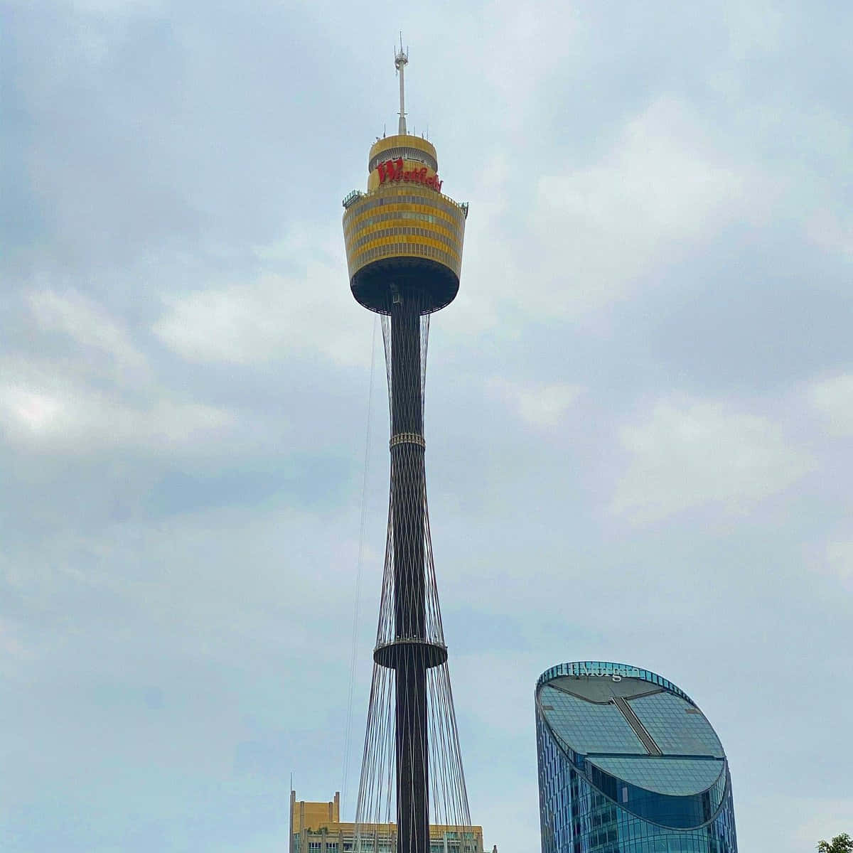 Sydney_ Tower_ Eye_ Against_ Sky Wallpaper