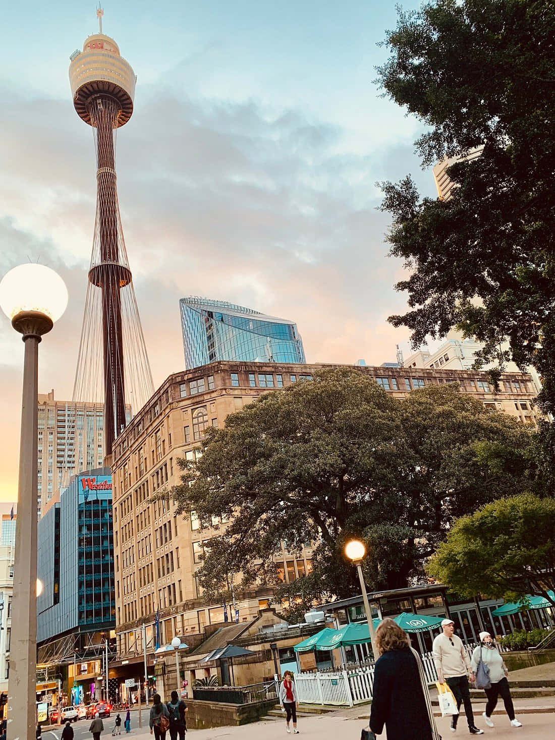 Sydney_ Tower_ Eye_at_ Dusk.jpg Wallpaper