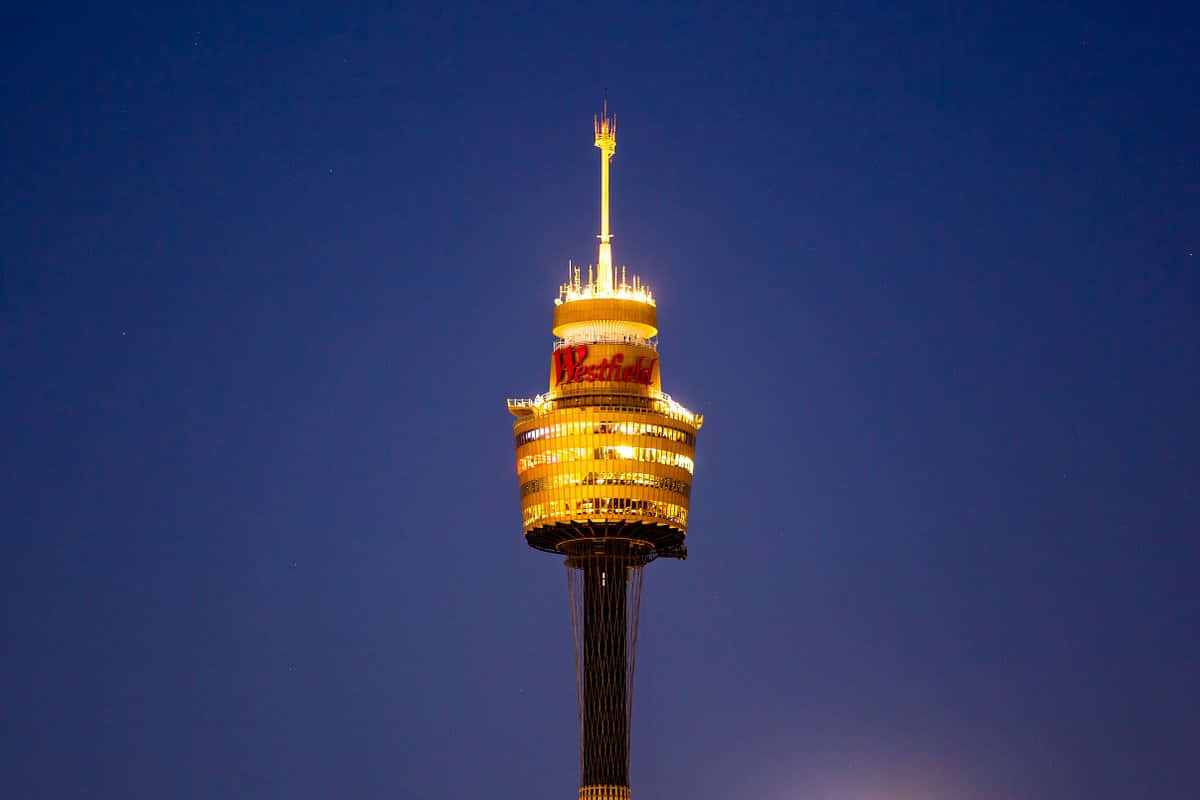 Sydney_ Tower_ Eye_ Night_ View.jpg Wallpaper