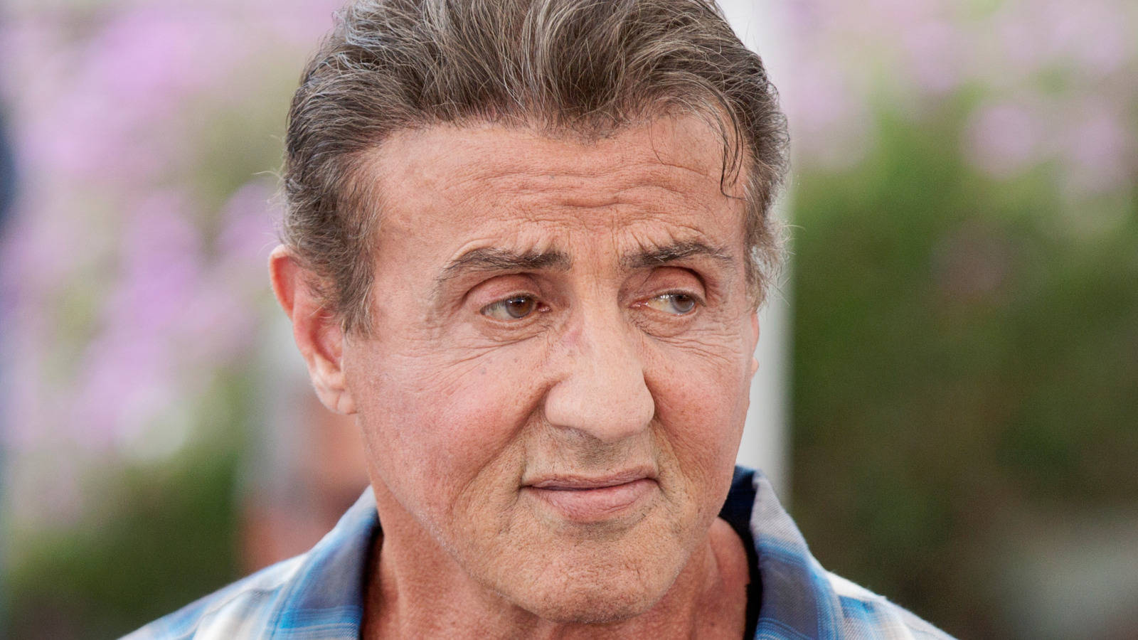 Sylvester Stallone Looks To Left Wallpaper