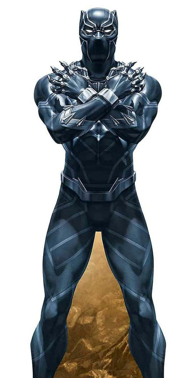 T'challa, The King Of Wakanda. Wallpaper